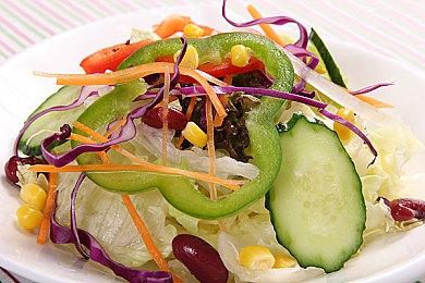 RPG《圣兽之王》公开指南视频第四期及官方解说漫画“